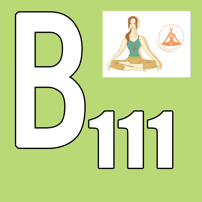Горячая новинка! Выпуск 2026.Q – обзор и цена Yoga Fitness Group